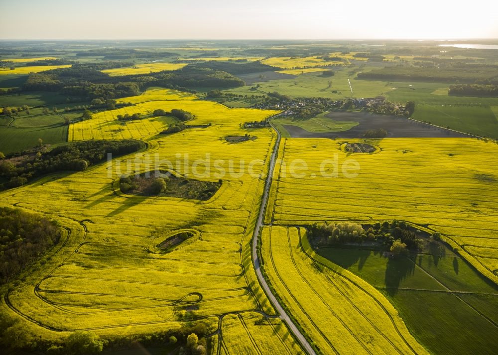 Klink aus der Vogelperspektive: Rapsfelder bei Klink im Bundesland Mecklenburg-Vorpommern