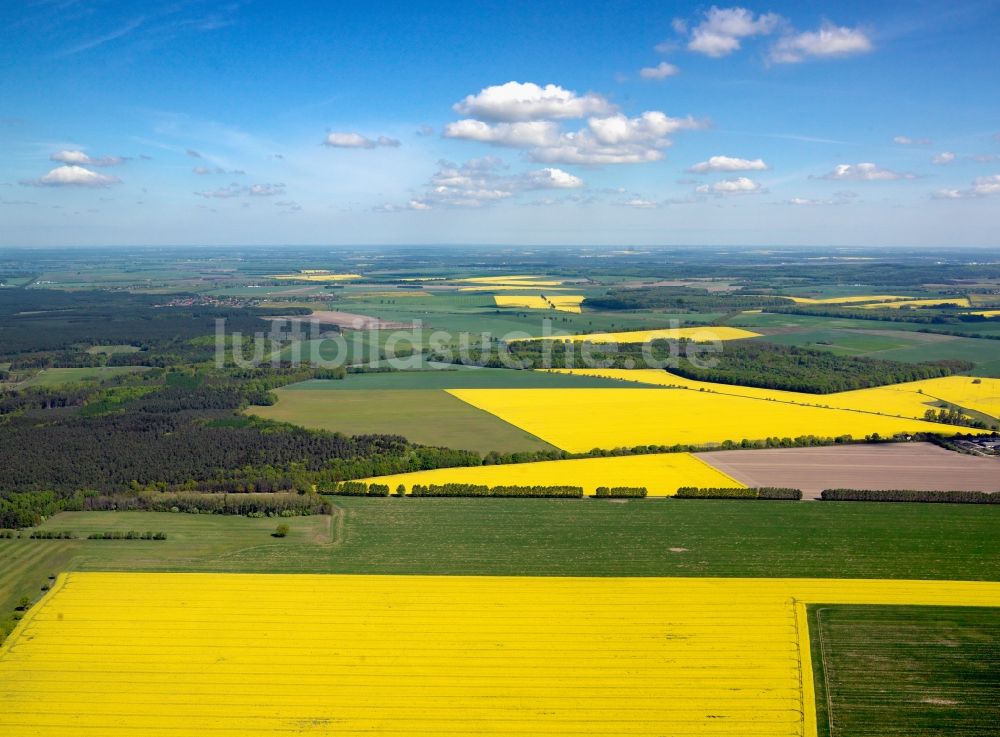 Muchow von oben - Rapsfelder bei Muchow im Landkreis Ludwigslust-Pachim im Bundesland Mecklenburg-Vorpommern