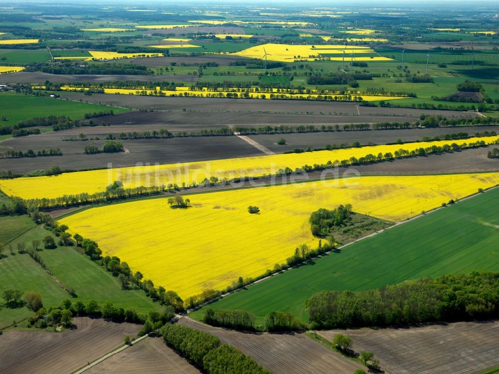 Muchow aus der Vogelperspektive: Rapsfelder bei Muchow im Landkreis Ludwigslust-Pachim im Bundesland Mecklenburg-Vorpommern