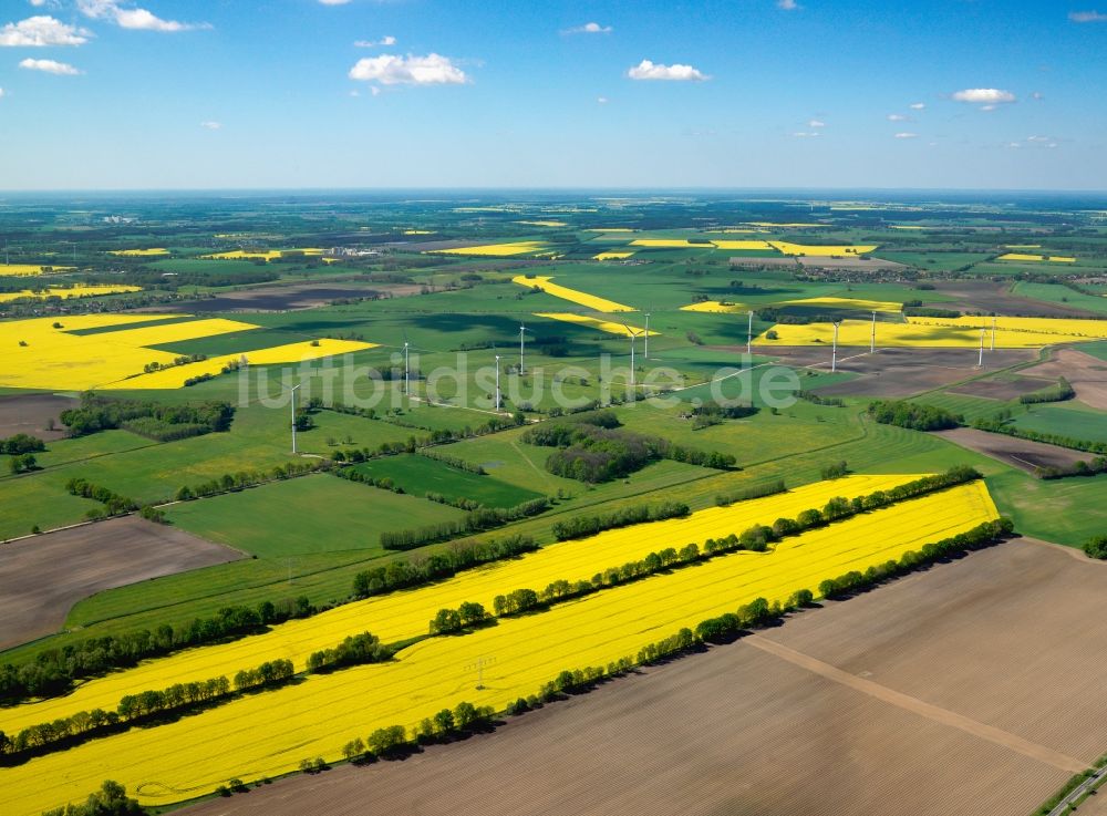 Luftbild Muchow - Rapsfelder bei Muchow im Landkreis Ludwigslust-Pachim im Bundesland Mecklenburg-Vorpommern