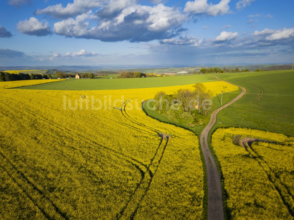 Rabenau von oben - Rapsfelder in Rabenau im Bundesland Sachsen, Deutschland