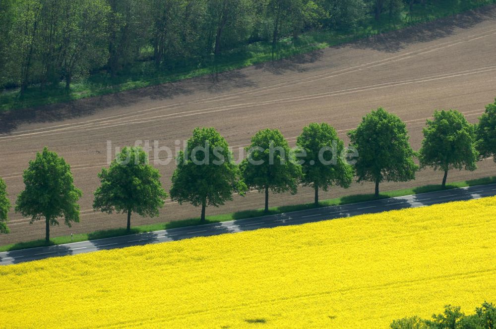 Klein Schneen von oben - Rapsfeldimpressionen bei Klein Schneen in Niedersachsen