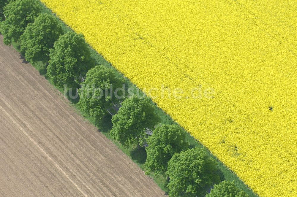 Luftbild Klein Schneen - Rapsfeldimpressionen bei Klein Schneen in Niedersachsen