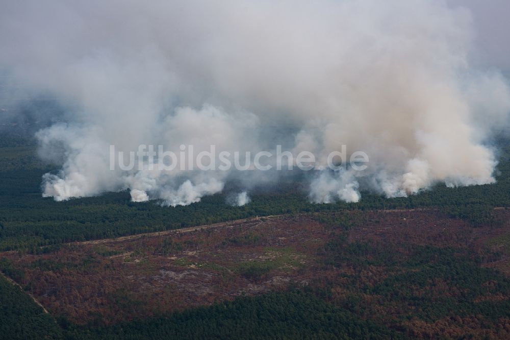 Luftaufnahme Bardenitz - Rauchschwaden eines Brandes im Baumbestand eines Waldgebietes in Bardenitz bei Treuenbrietzen im Bundesland Brandenburg, Deutschland