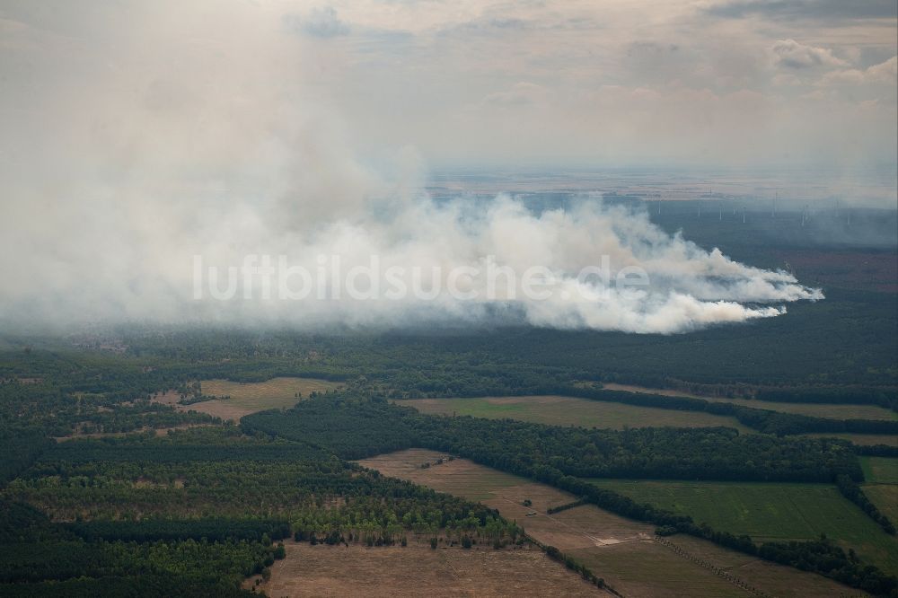 Bardenitz aus der Vogelperspektive: Rauchschwaden eines Brandes im Baumbestand eines Waldgebietes in Bardenitz bei Treuenbrietzen im Bundesland Brandenburg, Deutschland