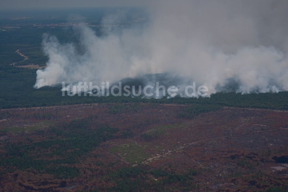 Luftbild Bardenitz - Rauchschwaden eines Brandes im Baumbestand eines Waldgebietes in Bardenitz bei Treuenbrietzen im Bundesland Brandenburg, Deutschland