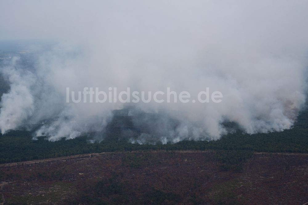 Luftaufnahme Bardenitz - Rauchschwaden eines Brandes im Baumbestand eines Waldgebietes in Bardenitz bei Treuenbrietzen im Bundesland Brandenburg, Deutschland