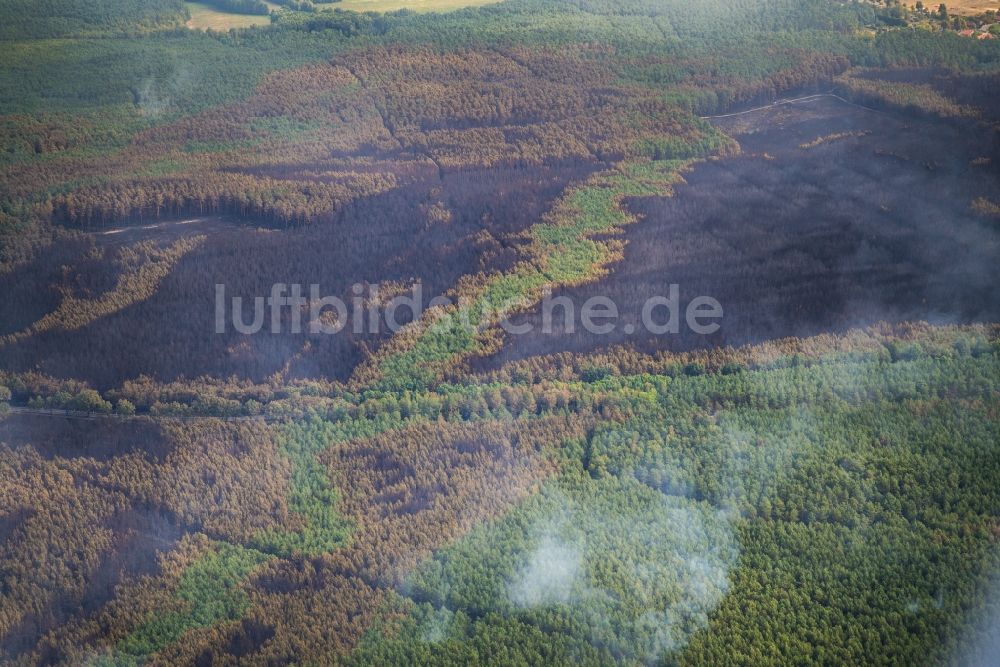 Luftbild Treuenbrietzen - Rauchschwaden eines Brandes im Baumbestand eines Waldgebietes in Bardenitz bei Treuenbrietzen im Bundesland Brandenburg, Deutschland