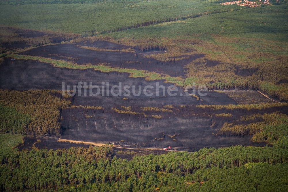 Treuenbrietzen von oben - Rauchschwaden eines Brandes im Baumbestand eines Waldgebietes in Bardenitz bei Treuenbrietzen im Bundesland Brandenburg, Deutschland