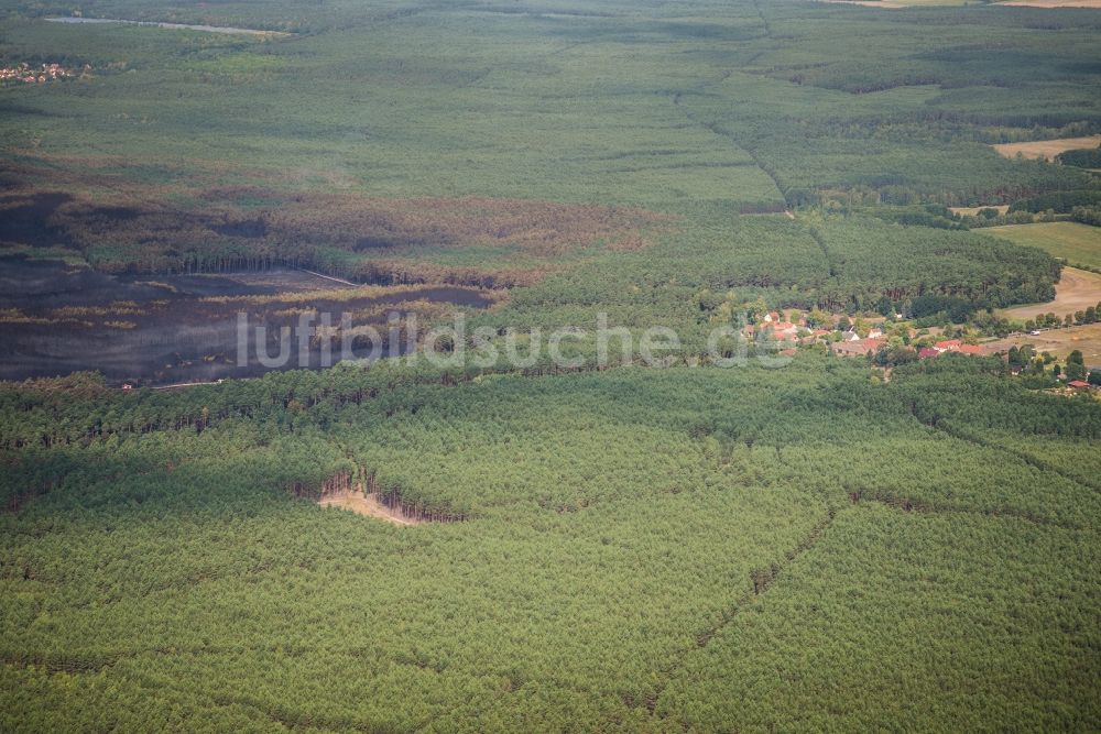 Luftbild Treuenbrietzen - Rauchschwaden eines Brandes im Baumbestand eines Waldgebietes in Bardenitz bei Treuenbrietzen im Bundesland Brandenburg, Deutschland