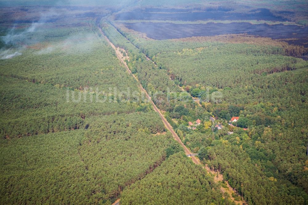 Treuenbrietzen von oben - Rauchschwaden eines Brandes im Baumbestand eines Waldgebietes in Bardenitz bei Treuenbrietzen im Bundesland Brandenburg, Deutschland