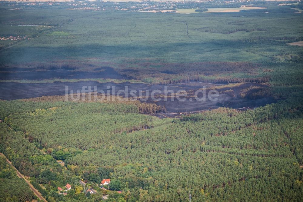 Treuenbrietzen aus der Vogelperspektive: Rauchschwaden eines Brandes im Baumbestand eines Waldgebietes in Bardenitz bei Treuenbrietzen im Bundesland Brandenburg, Deutschland