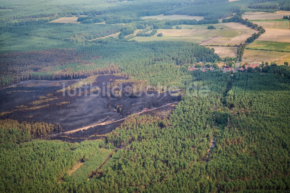 Luftbild Treuenbrietzen - Rauchschwaden eines Brandes im Baumbestand eines Waldgebietes in Bardenitz bei Treuenbrietzen im Bundesland Brandenburg, Deutschland