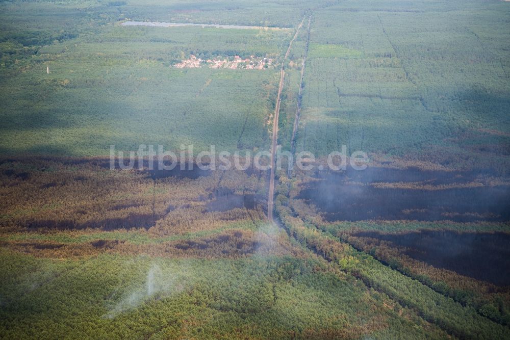 Luftaufnahme Treuenbrietzen - Rauchschwaden eines Brandes im Baumbestand eines Waldgebietes in Bardenitz bei Treuenbrietzen im Bundesland Brandenburg, Deutschland