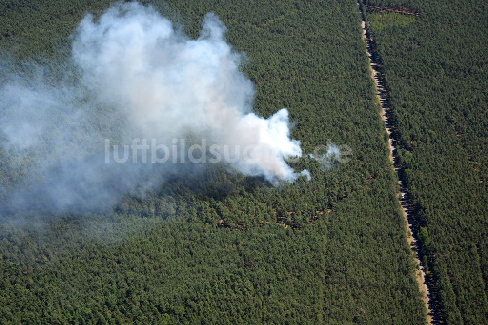 Luftaufnahme Halbe - Rauchschwaden eines Brandes im Baumbestand eines Waldgebietes in Halbe im Bundesland Brandenburg