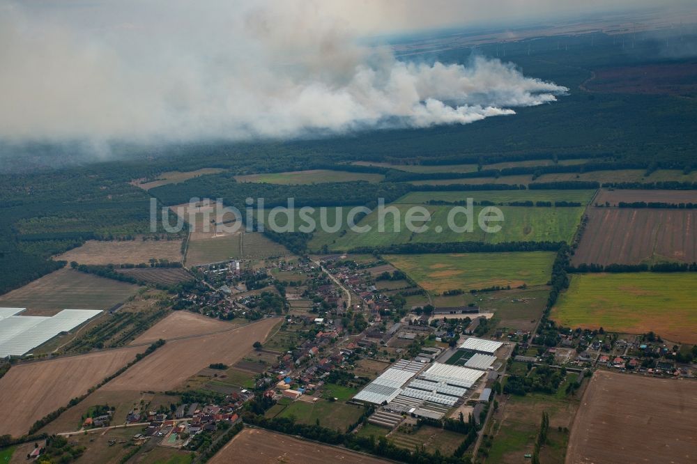 Luftbild Kemnitz - Rauchschwaden eines Brandes im Baumbestand eines Waldgebietes in Kemnitz bei Treuenbrietzen im Bundesland Brandenburg, Deutschland