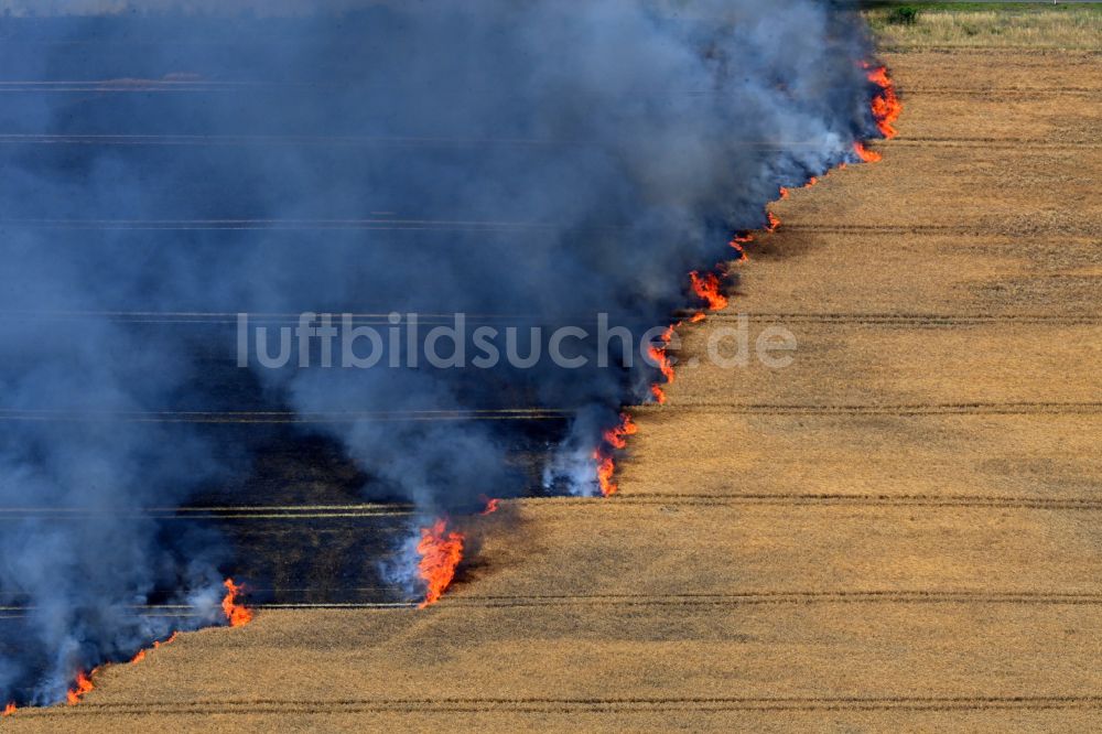 Schwanebeck von oben - Rauchschwaden eines Brandes in einem Getreidefeld in Schwanebeck im Bundesland Brandenburg, Deutschland