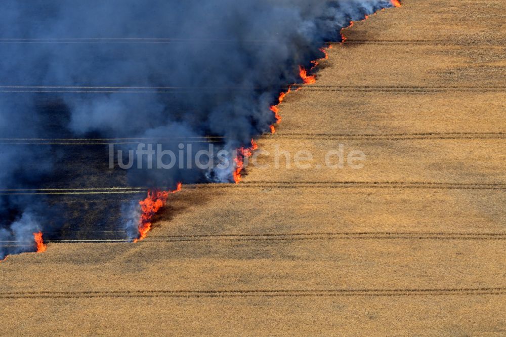 Schwanebeck aus der Vogelperspektive: Rauchschwaden eines Brandes in einem Getreidefeld in Schwanebeck im Bundesland Brandenburg, Deutschland