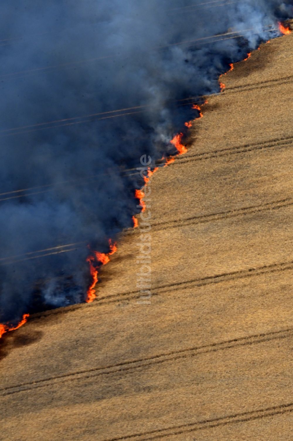 Luftbild Schwanebeck - Rauchschwaden eines Brandes in einem Getreidefeld in Schwanebeck im Bundesland Brandenburg, Deutschland