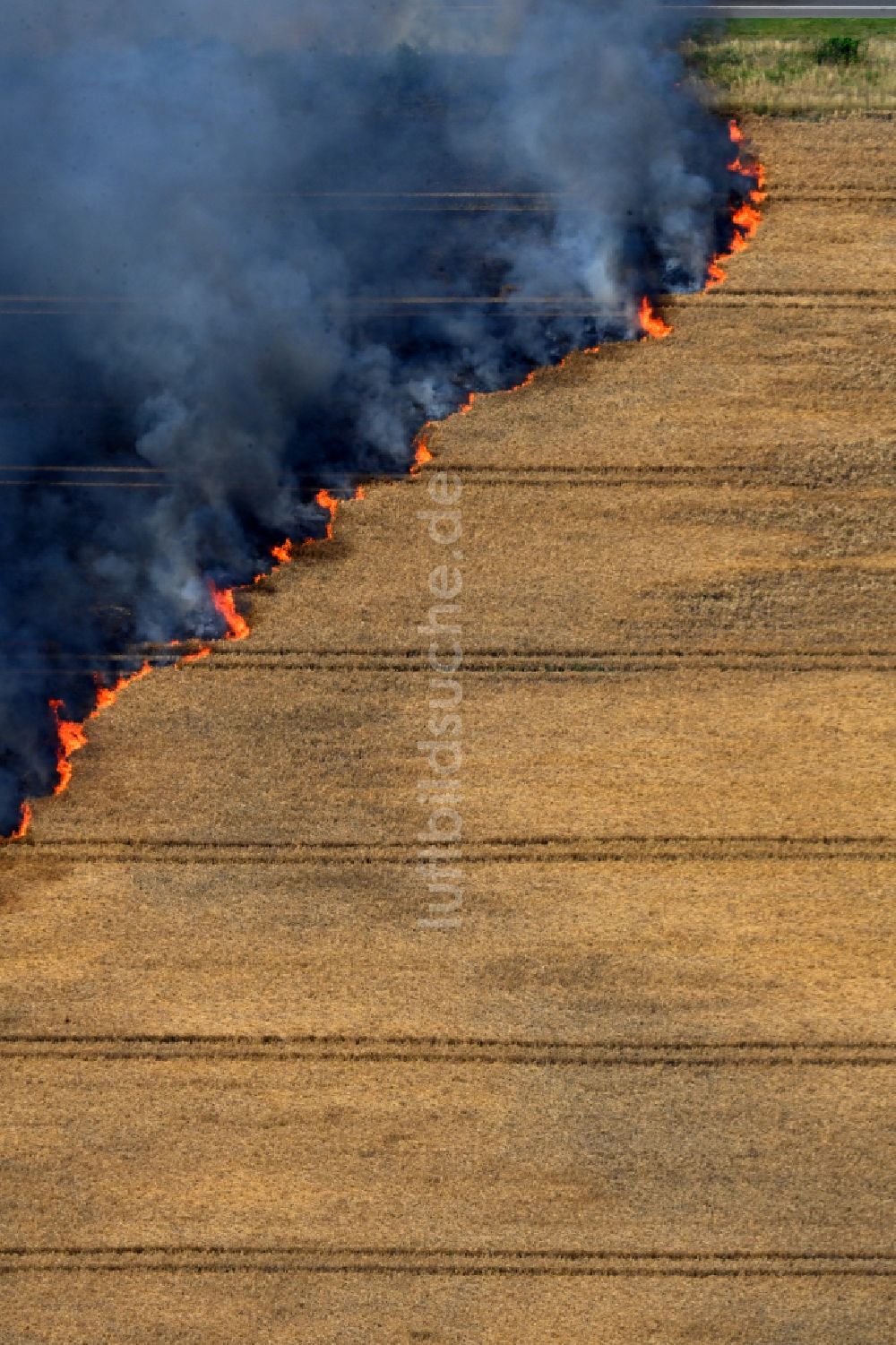 Luftaufnahme Schwanebeck - Rauchschwaden eines Brandes in einem Getreidefeld in Schwanebeck im Bundesland Brandenburg, Deutschland