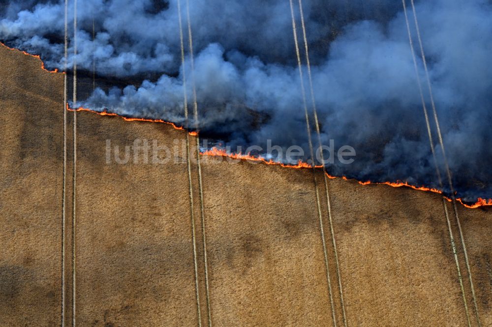 Schwanebeck von oben - Rauchschwaden eines Brandes in einem Getreidefeld in Schwanebeck im Bundesland Brandenburg, Deutschland