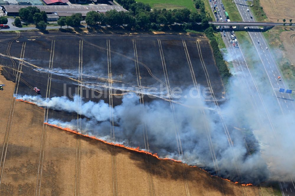 Luftaufnahme Schwanebeck - Rauchschwaden eines Brandes in einem Getreidefeld in Schwanebeck im Bundesland Brandenburg, Deutschland