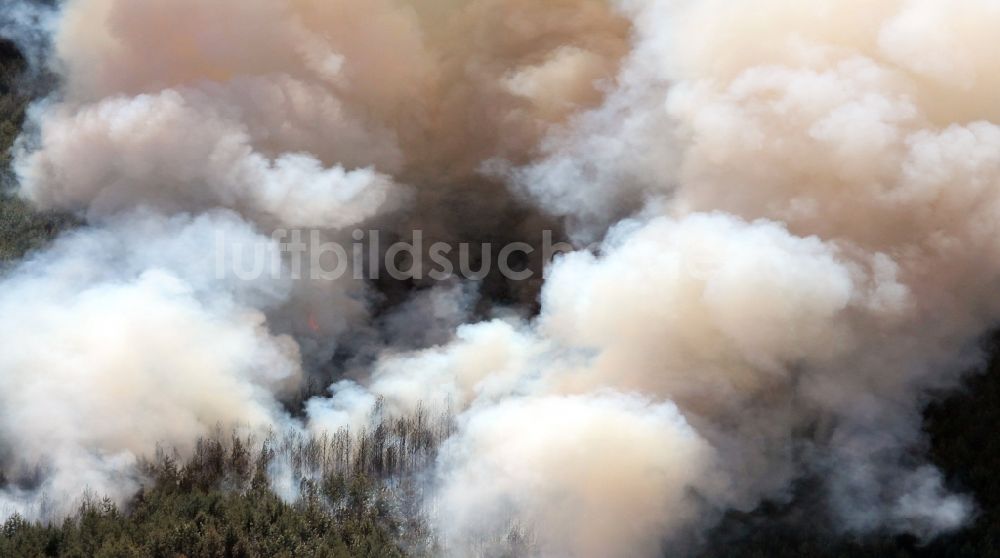 Kyritz aus der Vogelperspektive: Rauchwolken nach Feuer- und Flammenbildung in einem Waldgebiet in Kyritz im Bundesland Brandenburg