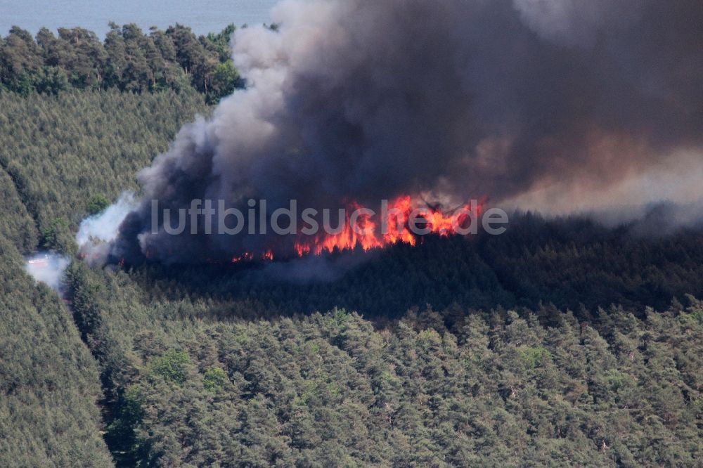 Kyritz aus der Vogelperspektive: Rauchwolken nach Feuer- und Flammenbildung in einem Waldgebiet in Kyritz im Bundesland Brandenburg