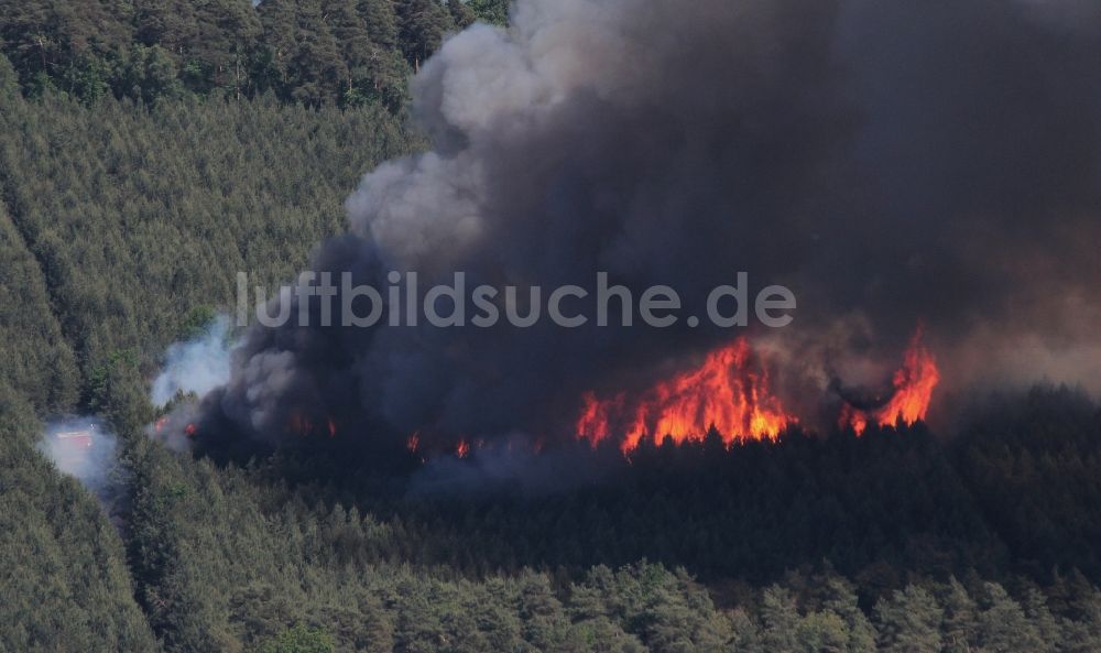 Luftbild Kyritz - Rauchwolken nach Feuer- und Flammenbildung in einem Waldgebiet in Kyritz im Bundesland Brandenburg