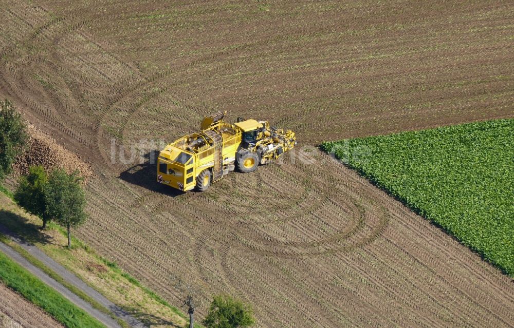 Luftbild Rosdorf - Rübenernte auf landwirtschaftlichen Feld- Reihen in Rosdorf im Bundesland Niedersachsen, Deutschland