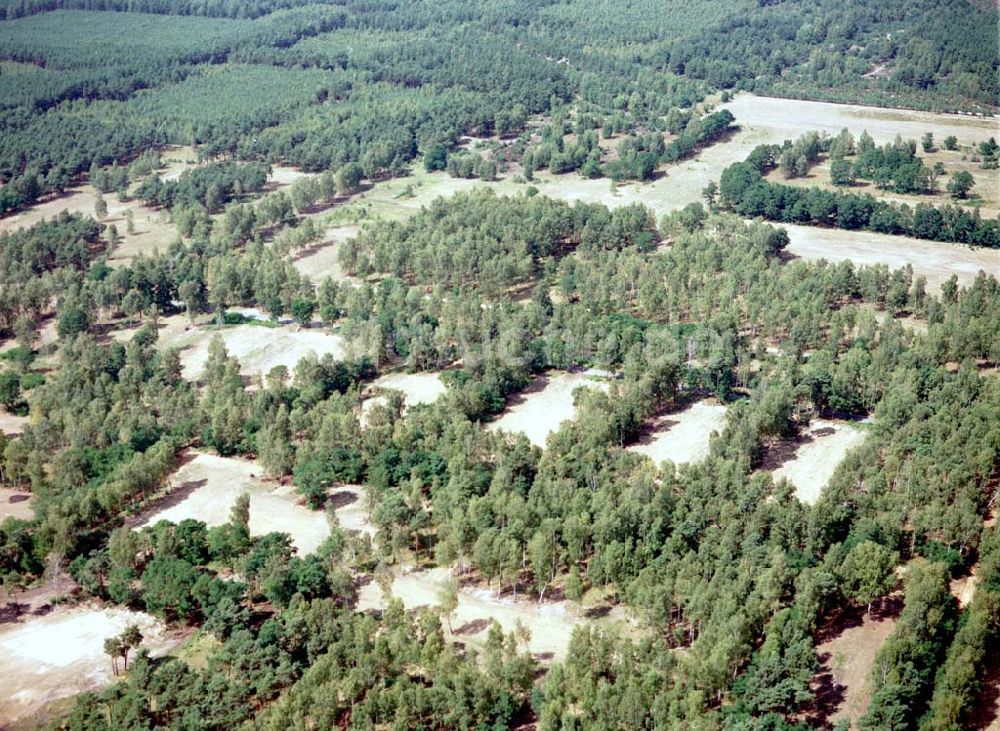 Luftaufnahme Drachhausen / Brandenburg - Re- naturiertes, ehemaliges Kasernengelände bei Drachhausen in Brandenburg