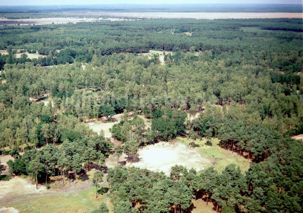 Luftaufnahme Drachhausen / Brandenburg - Re- naturiertes, ehemaliges Kasernengelände bei Drachhausen in Brandenburg