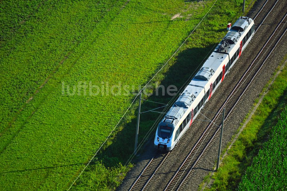 Luftaufnahme Kemberg - Regionalzug und Personenzug der S-Bahn Mitteldeutschland in Fahrt in Kemberg im Bundesland Sachsen-Anhalt, Deutschland