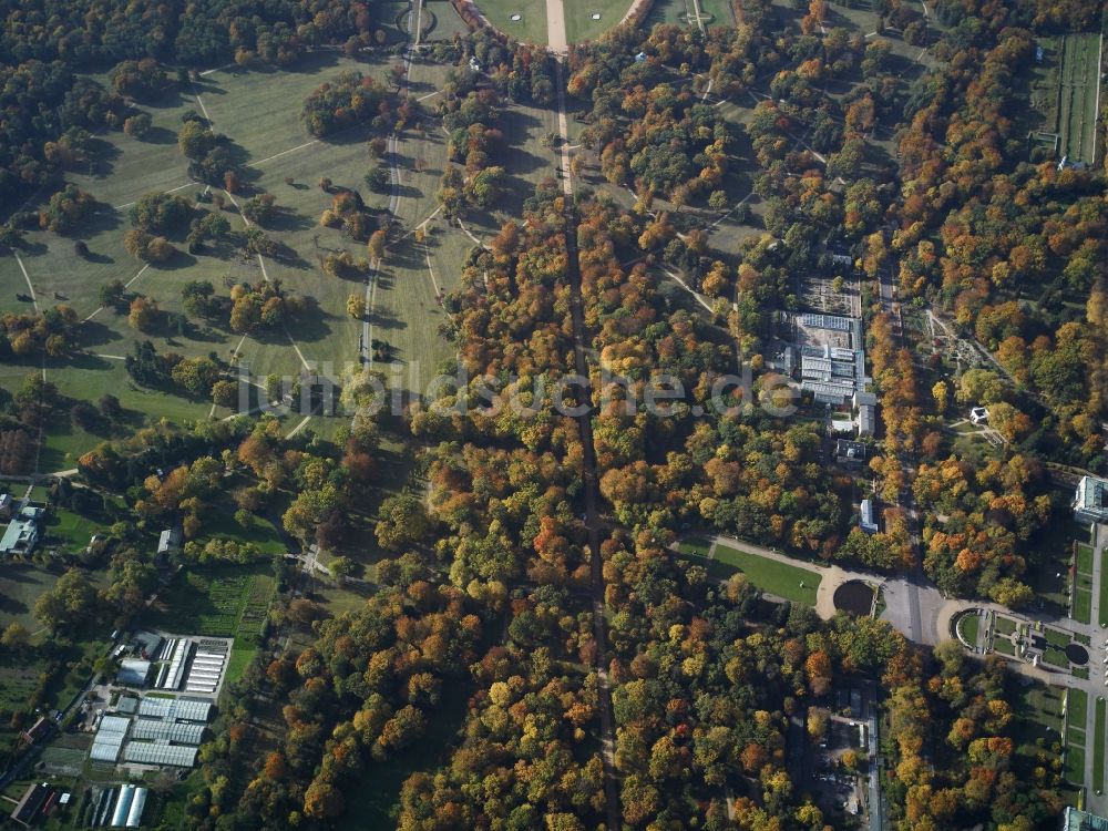 Potsdam von oben - Rehgarten in Potsdam im Bundesland Brandenburg