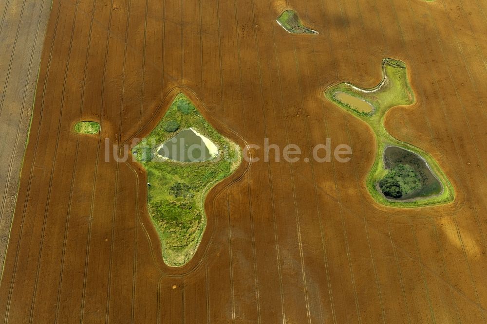 Damshagen von oben - Reife Getreide- Feld- Strukturen bei Damshagen in Mecklenburg-Vorpommern