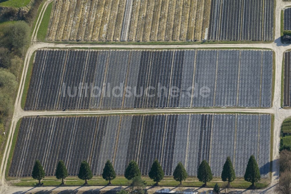 Luftaufnahme Detmold - Reihe von Mammutbäumen ( Sequoioideae ) Familie der Zypressengewächse in der Obstgehölz und Gartenbaumschule Krämer in Detmold im Bundesland Nordrhein-Westfalen NRW