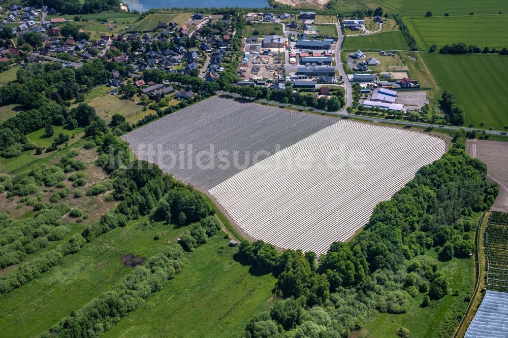 Luftbild Bliedersdorf - Reihen mit Spargel- Anbau auf Feld- Flächen in Bliedersdorf im Bundesland Niedersachsen, Deutschland