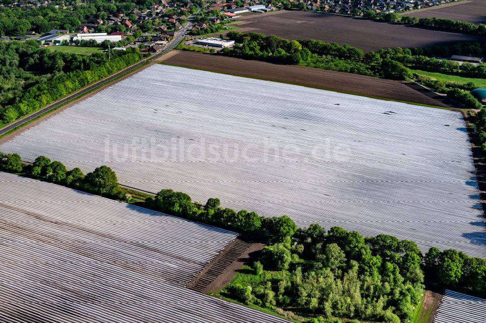 Luftaufnahme Dollern - Reihen mit Spargel- Anbau auf Feld- Flächen in Dollern im Bundesland Niedersachsen, Deutschland