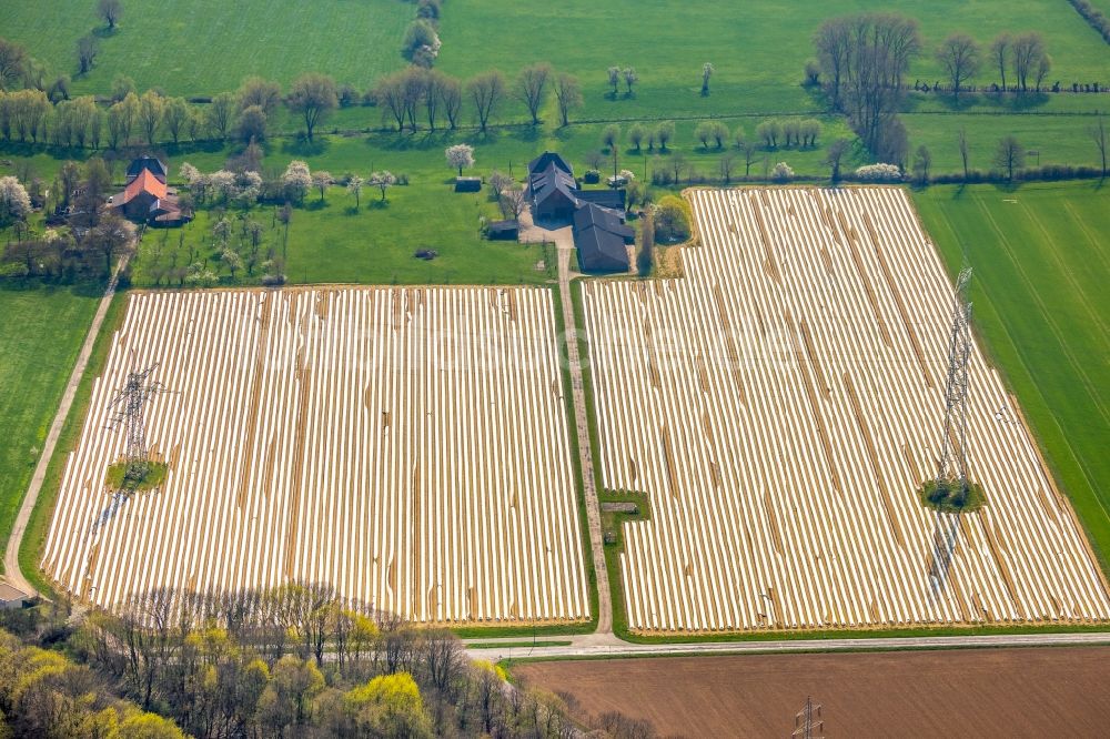 Luftbild Friedrichsfeld - Reihen mit Spargel- Anbau auf Feld- Flächen in Friedrichsfeld im Bundesland Nordrhein-Westfalen, Deutschland