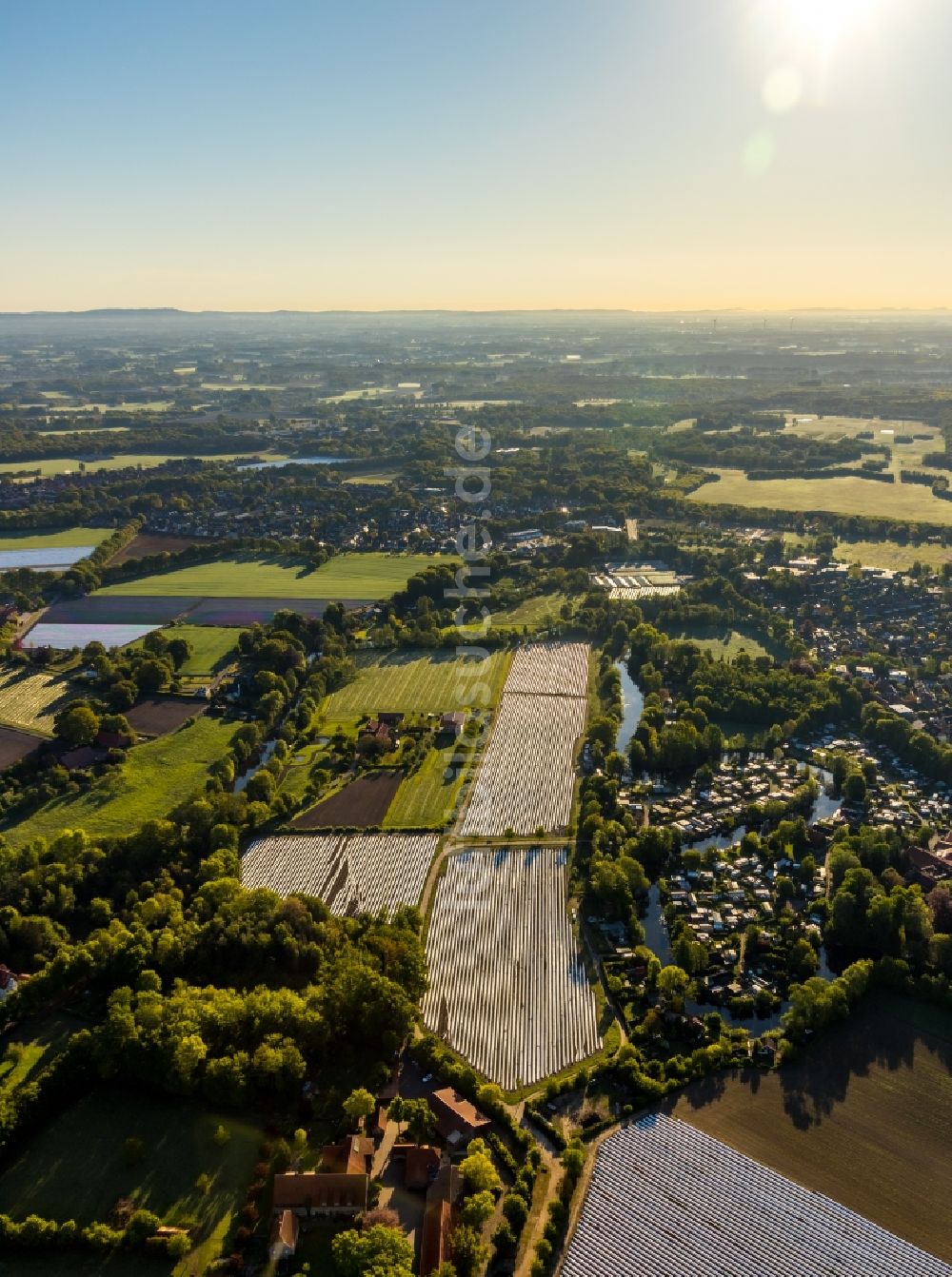 Luftbild Münster - Reihen mit Spargel- Anbau auf Feld- Flächen in Münster im Bundesland Nordrhein-Westfalen, Deutschland