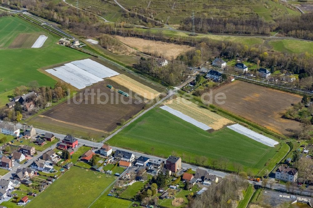 Luftbild Hamm - Reihen mit Spargel- Anbau auf Feld- Flächen im Ortsteil Wiescherhöfen in Hamm im Bundesland Nordrhein-Westfalen, Deutschland