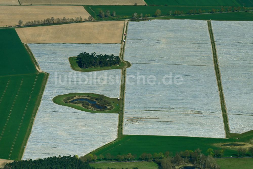 Luftbild Schönermark - Reihen mit Spargel- Anbau auf Feld- Flächen in Schönermark im Bundesland Brandenburg, Deutschland