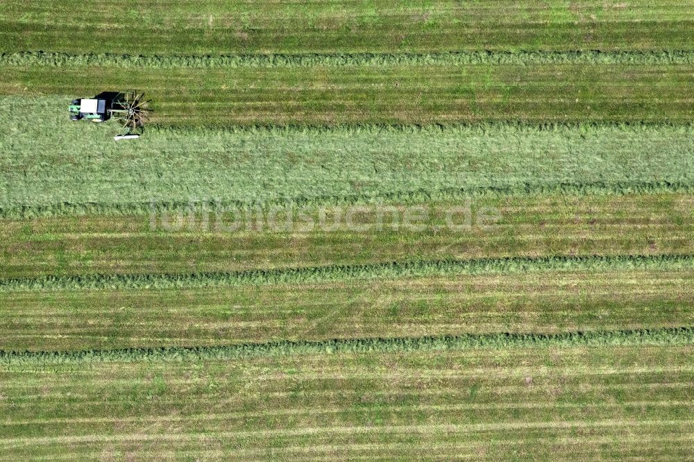 Luftaufnahme Schongau - Reihen mit Spargel- Anbau auf Feld- Flächen in Schongau im Bundesland Bayern, Deutschland