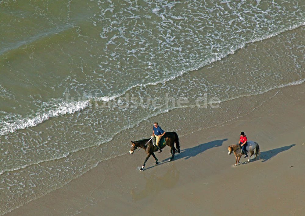 Luftbild Norderney - Reiten am Strand von Norderney