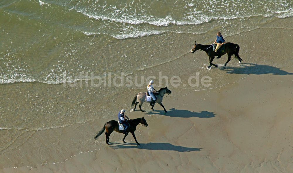 Norderney von oben - Reiten am Strand von Norderney