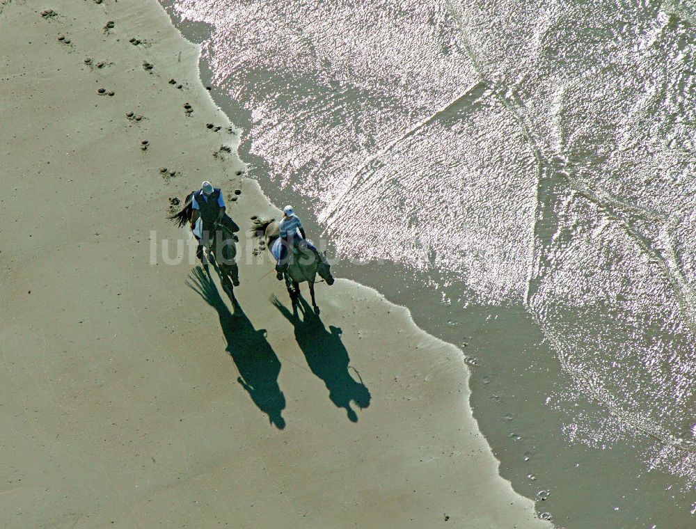 Norderney aus der Vogelperspektive: Reiten am Strand von Norderney