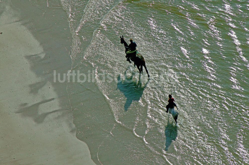 Luftbild Norderney - Reiten am Strand von Norderney