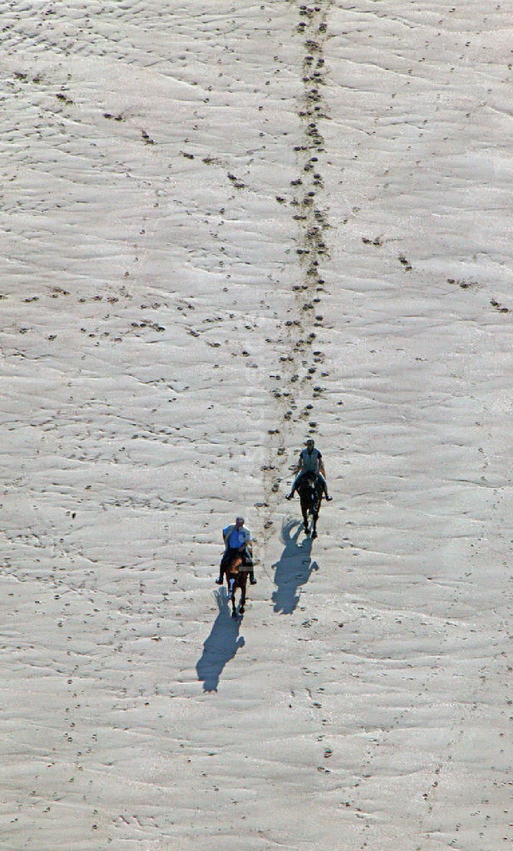 Luftaufnahme Norderney - Reiten am Strand von Norderney