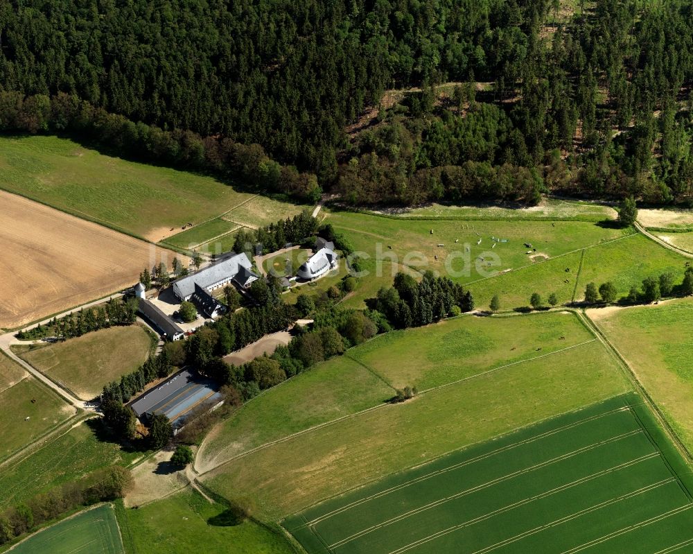 Luftbild Womrath - Reiterhof in Womrath im Bundesland Rheinland-Pfalz