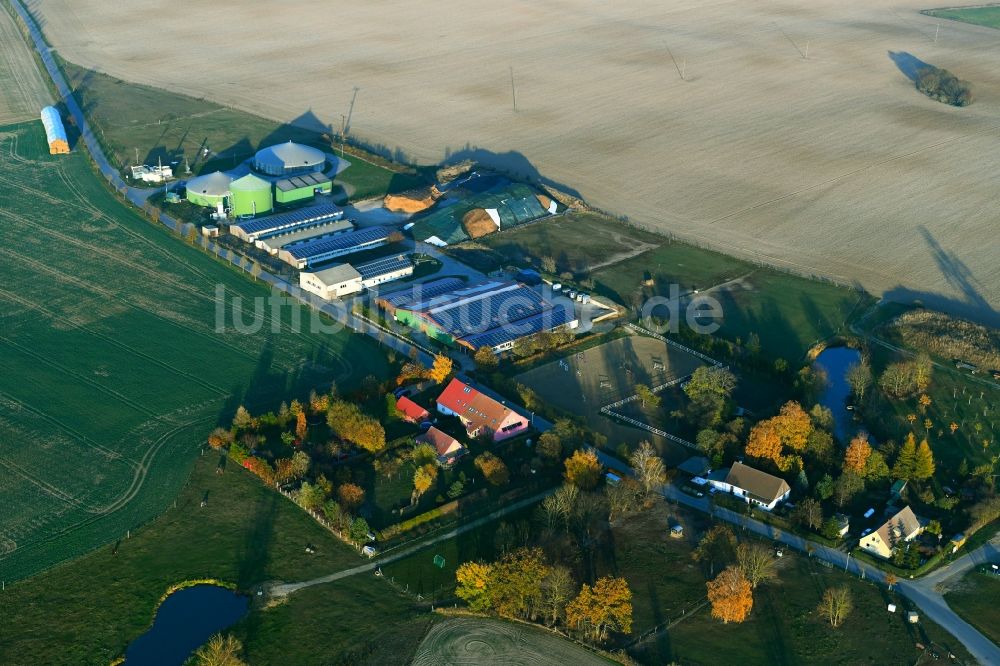 Altentreptow aus der Vogelperspektive: Reitstall - Reiterhof - Marstall und landwirtschaftliche Anlagen im herbstlichen Altentreptow im Bundesland Mecklenburg-Vorpommern, Deutschland